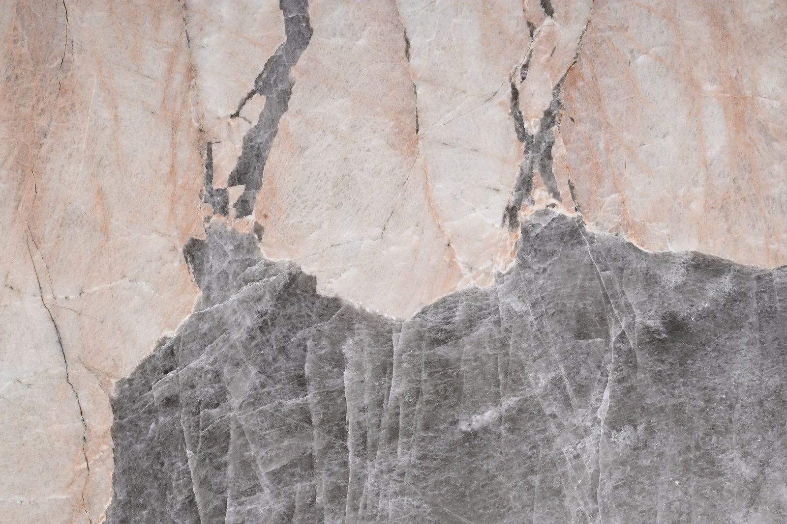 Close view of stone with pale grey and cream mineral formations divided by a jagged boundary.