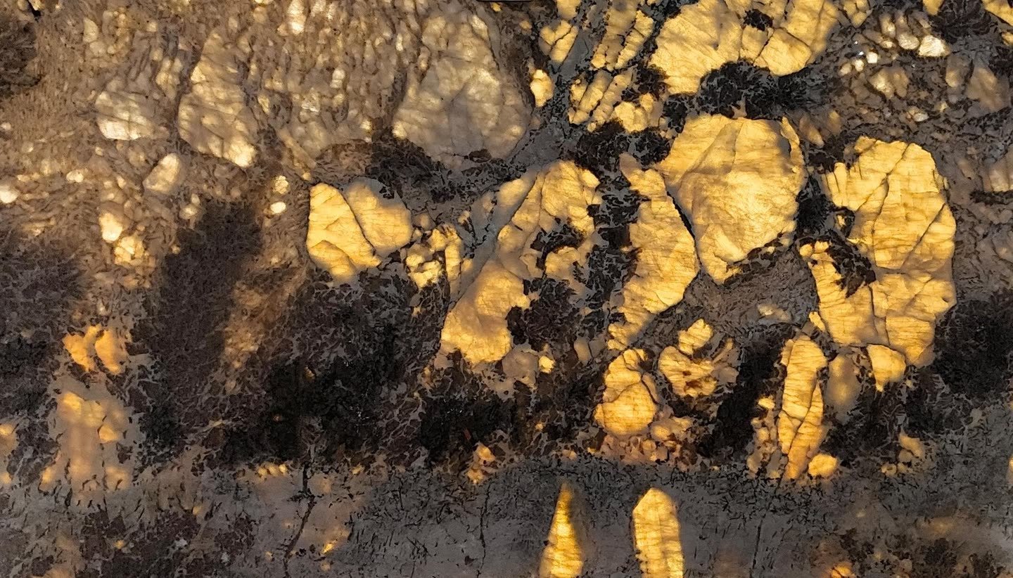 Alpinus — the slab lit from behind so the translucency and vein structure read through the stone.